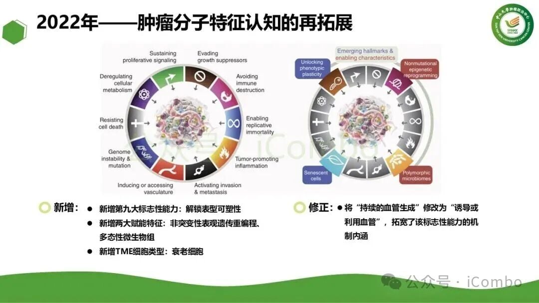 肿瘤血管生成与抗血管生成治疗