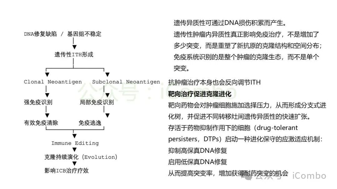 表观遗传修饰调控免疫逃逸通路机制