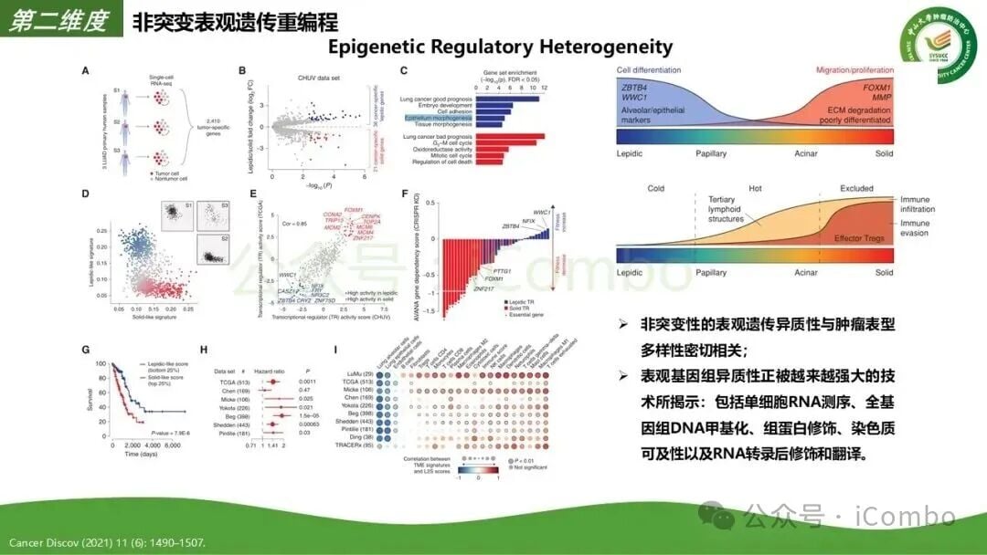个体化精准诊疗基因检测流程