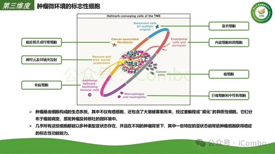 跨境医疗获取前沿抗癌药物合规路径