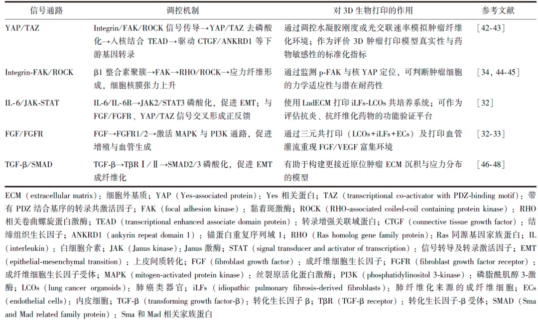 细胞外基质信号通路在3D生物打印肺癌模型中的作用表