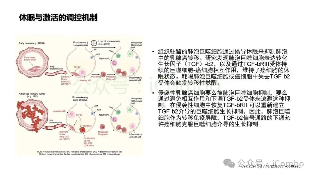 CAR-T及TCR-T细胞在微环境中的免疫监视效能