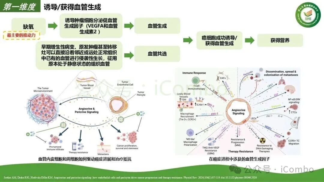 肿瘤相关炎症与微环境重构