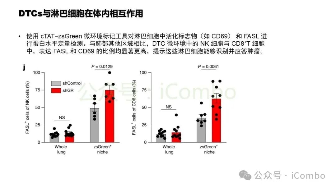 染色质免疫共沉淀验证p65与GR结合位点