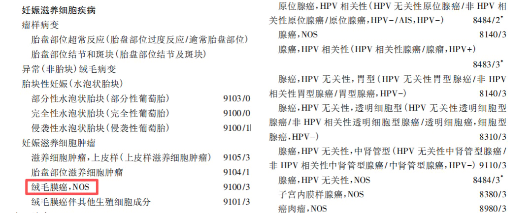 WHO女性生殖系统肿瘤分类示意图