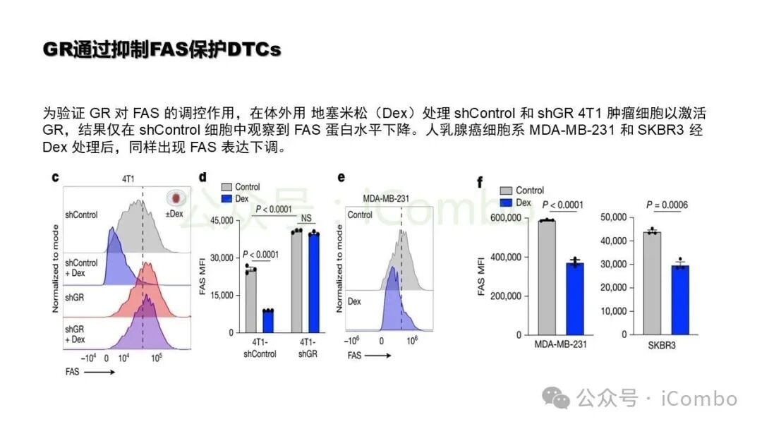 微转移灶组织病理学染色评估