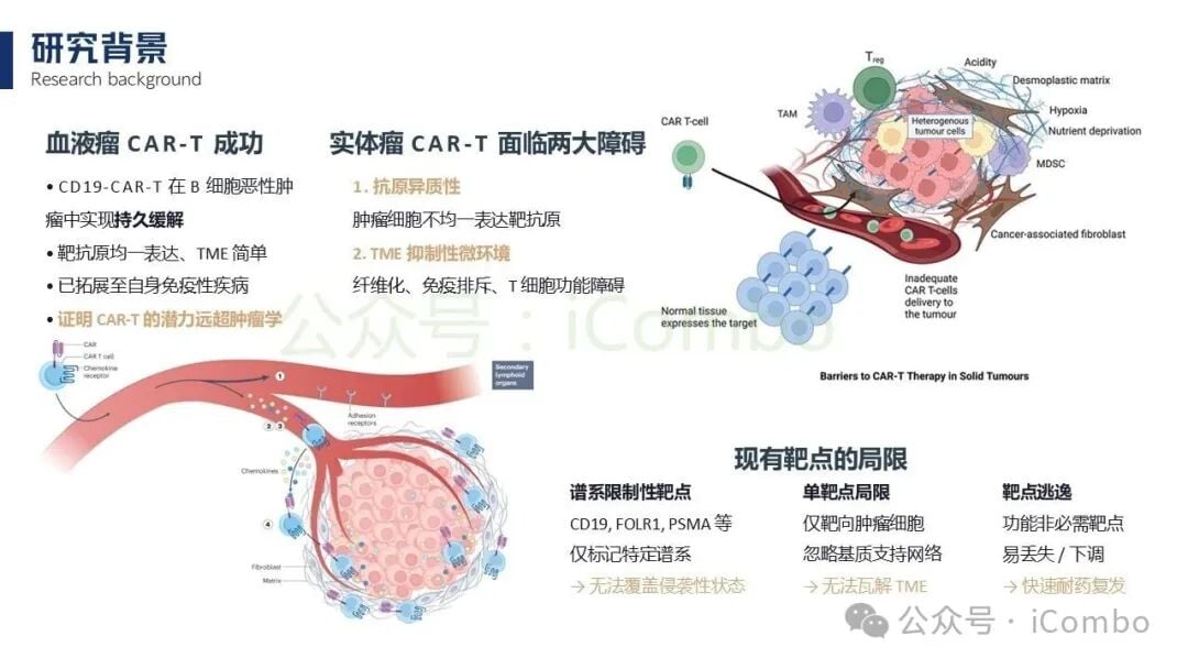 TP53与RAS基因突变实体瘤中uPAR表达的相关性验证