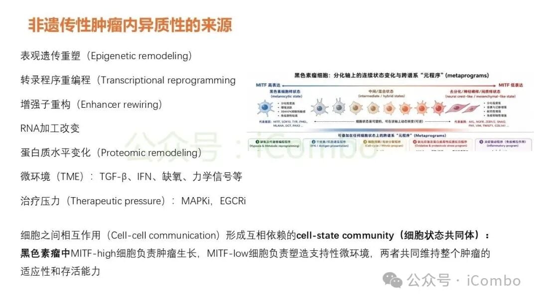 免疫肽组质谱分析与抗原呈递途径