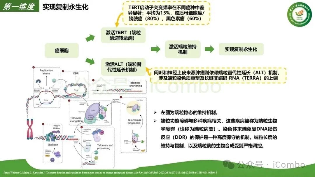 表观遗传重塑与基因表达调控