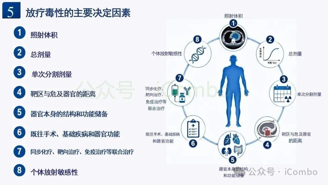 晚期放射性纤维化演进机制