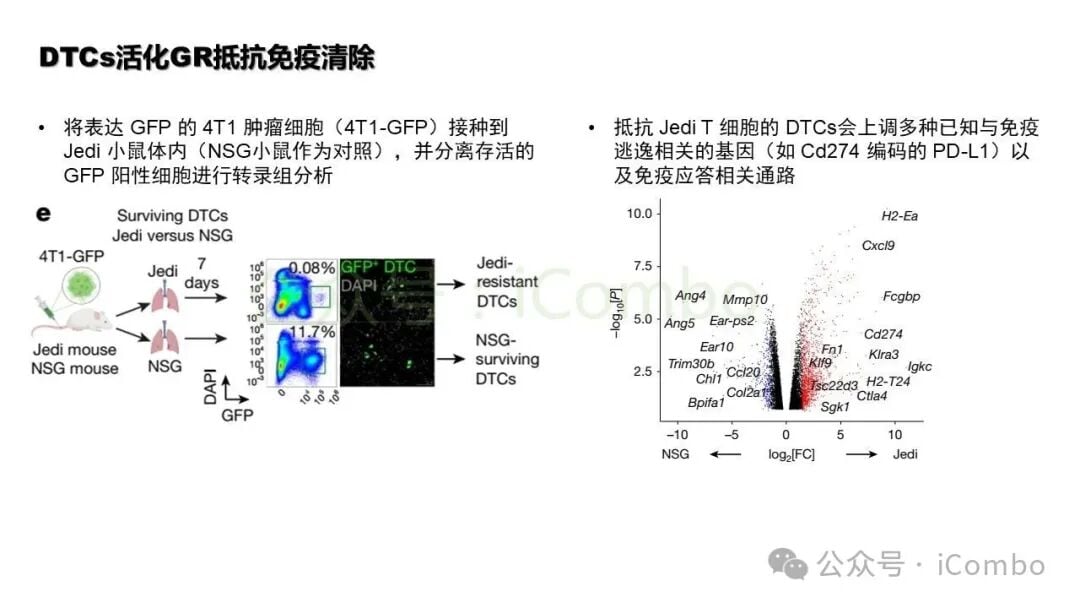免疫细胞活化与杀伤功能检测图