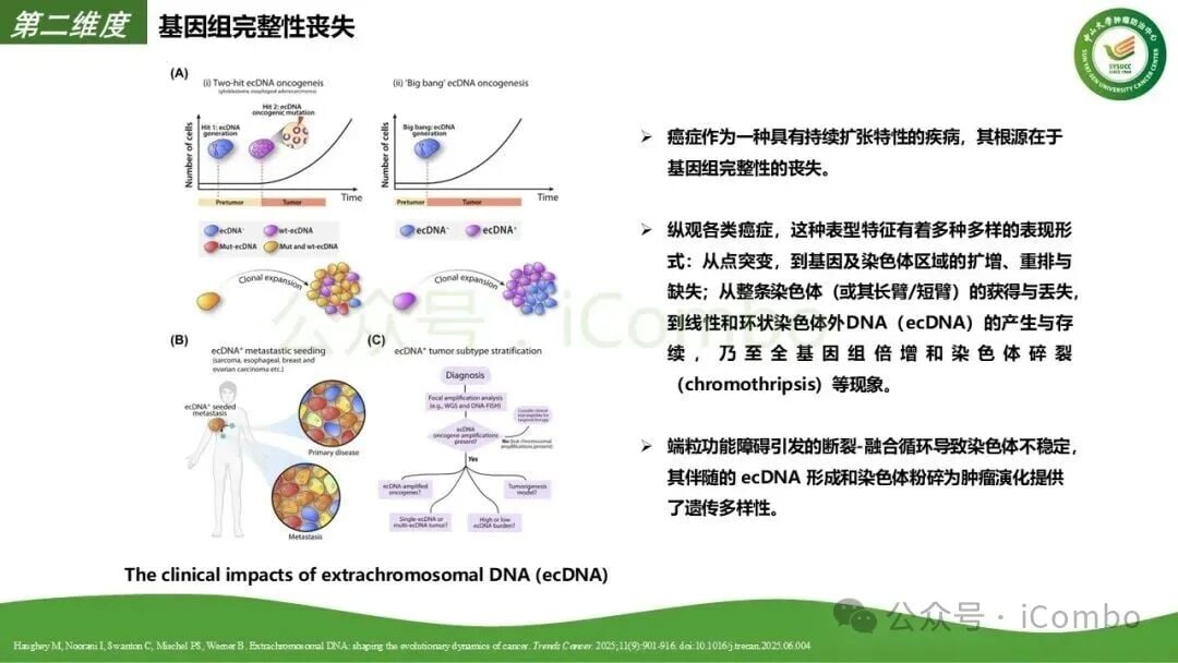 多维度联合治疗打破耐药机制图解