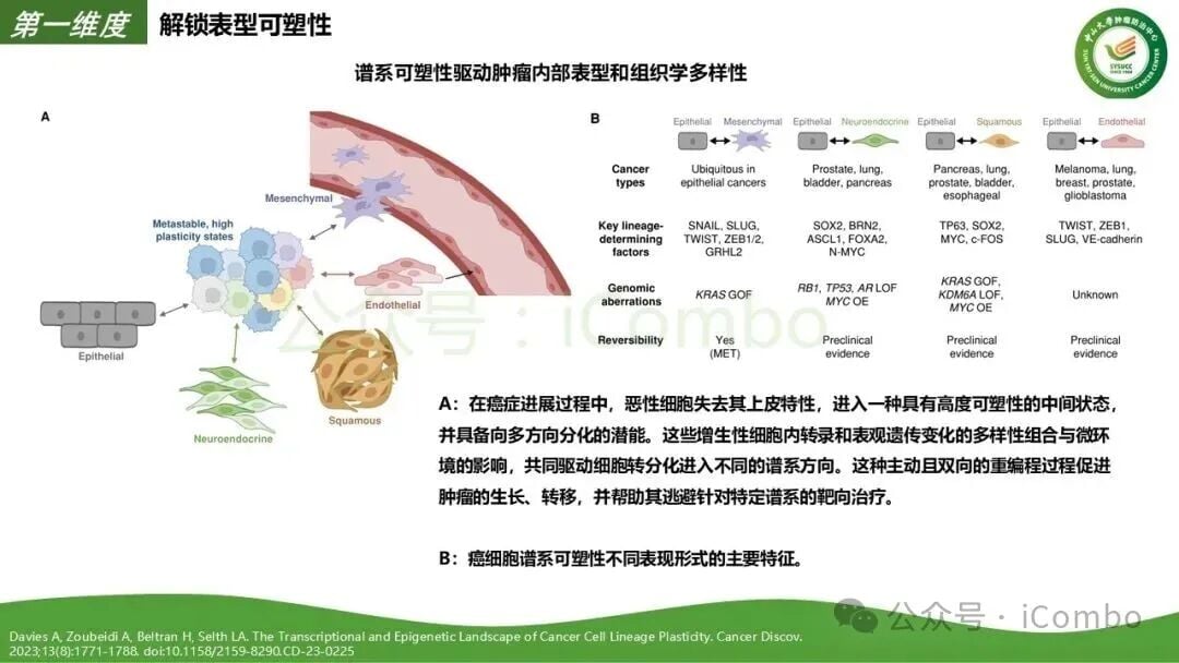 肿瘤系统性疾病与全身器官互作