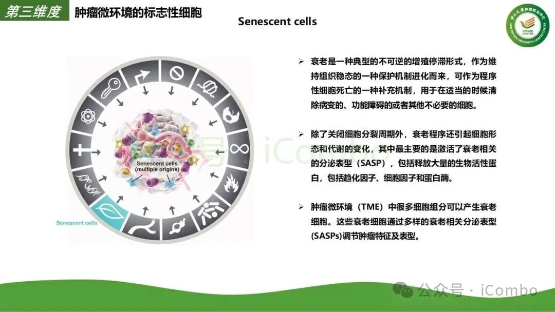 AI辅助肿瘤基因检测报告深度解读