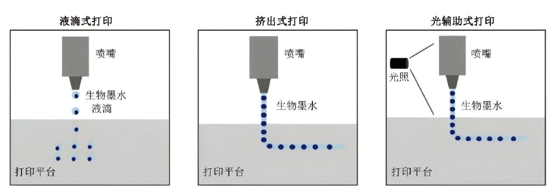 常见3D生物打印技术原理与分类对比图