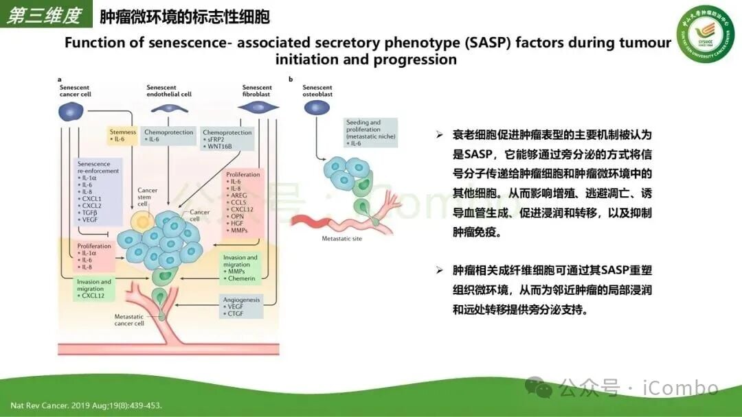 患者居家抗癌副作用管理指南