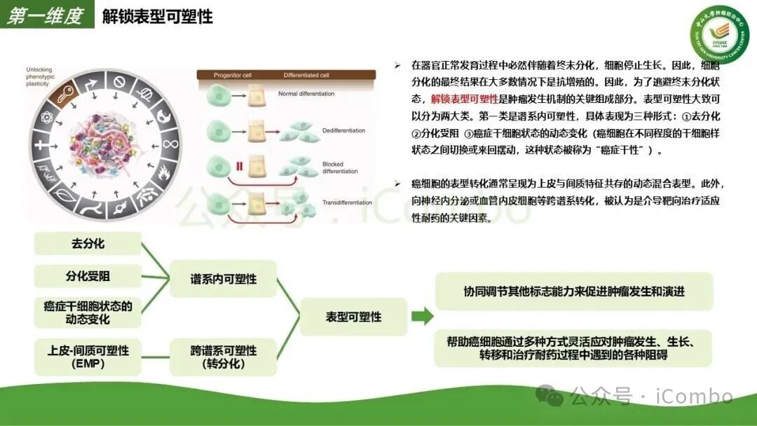 调节性T细胞Treg与免疫耐受