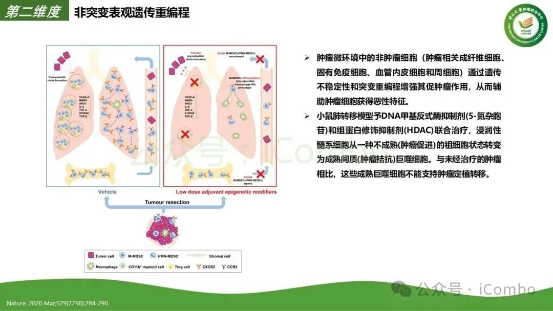 多维度靶向药物协同作用机制