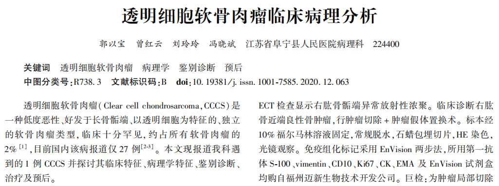 透明细胞软骨肉瘤组织病理学特征示意图