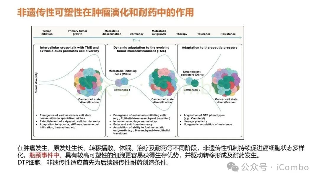 抗原加工与呈递缺陷引发的耐药机制