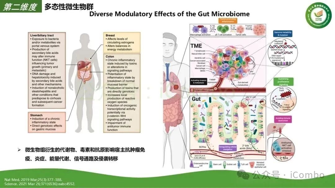 克服靶向治疗二次突变的前沿药物