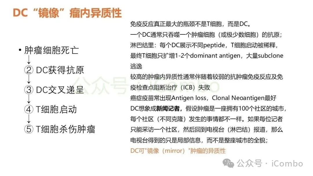 空间多组学技术解析肿瘤与免疫细胞物理互作