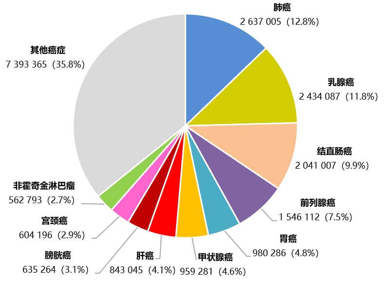 全球新发癌症前十位疾病顺位分布图