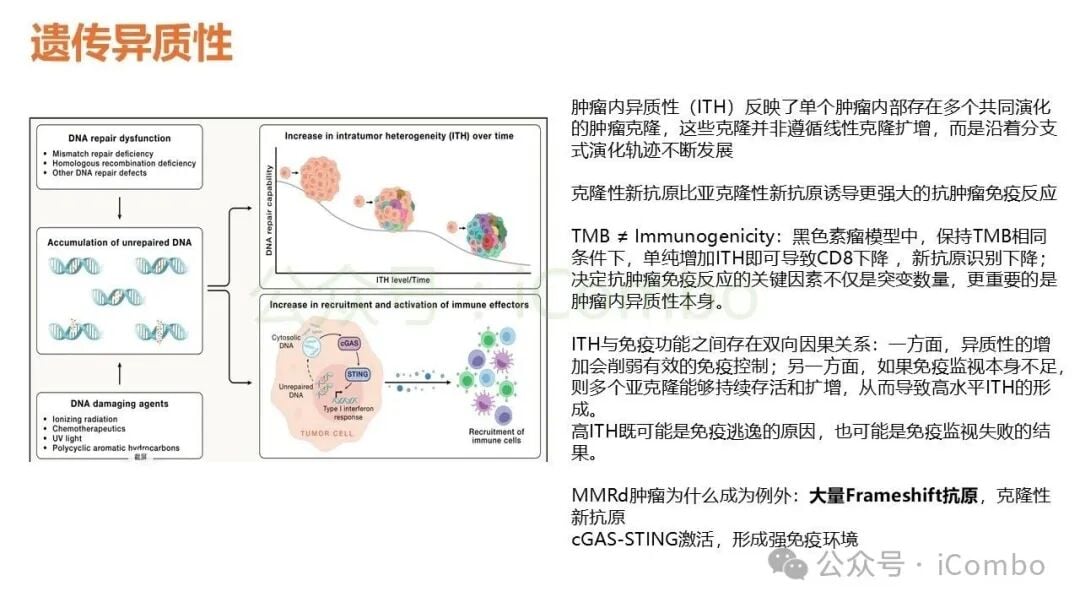 肿瘤细胞状态转变对免疫微环境的重塑作用
