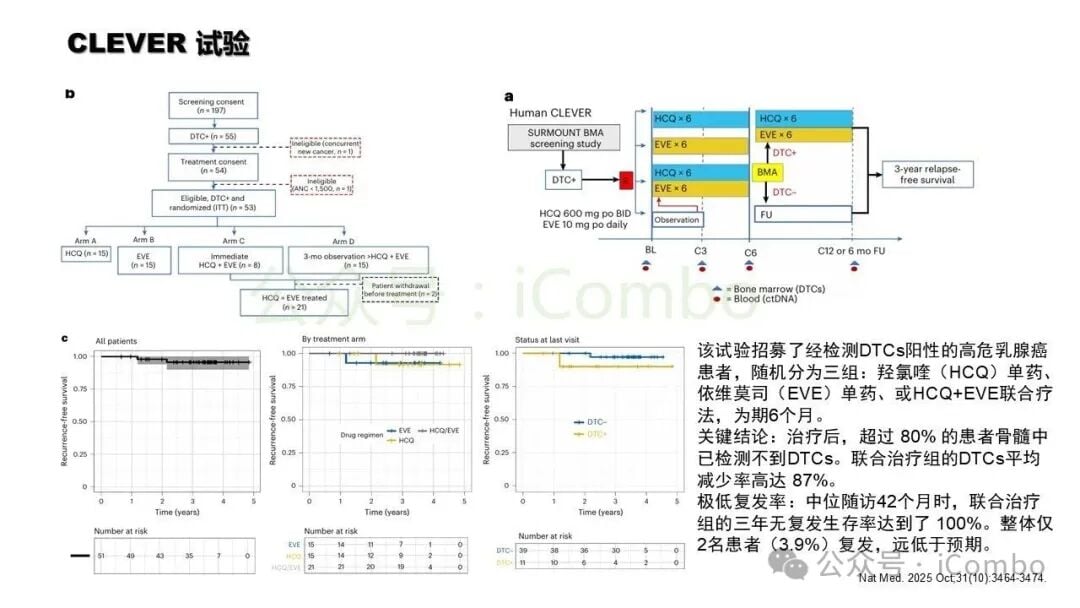 靶向清除肿瘤休眠细胞的两大战略途径示意图