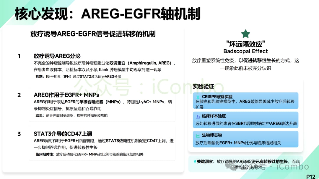 多模态综合治疗阻断转移流程图