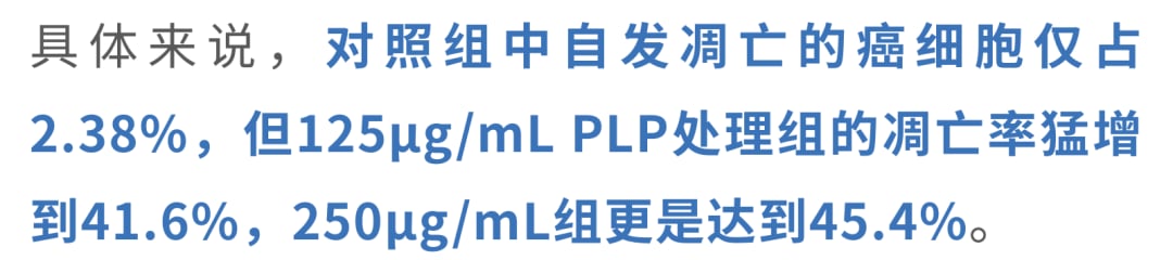 PLP诱导线粒体膜电位去极化与氧化应激爆发检测