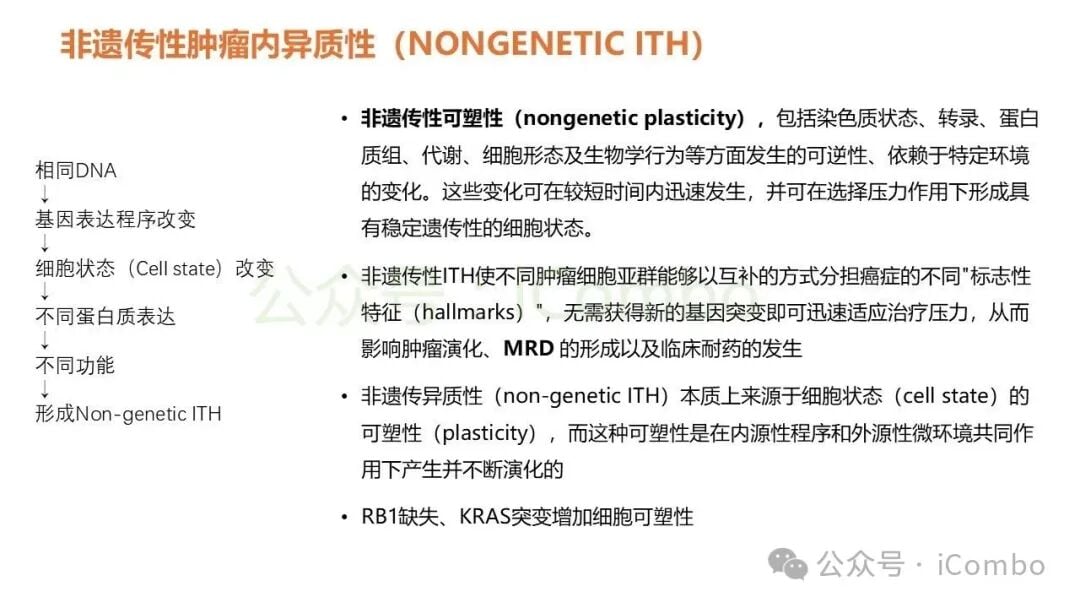克隆性与亚克隆性新抗原对T细胞杀伤效率的影响