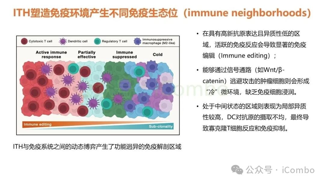 抑制性免疫生态位对T细胞功能的耗竭机制
