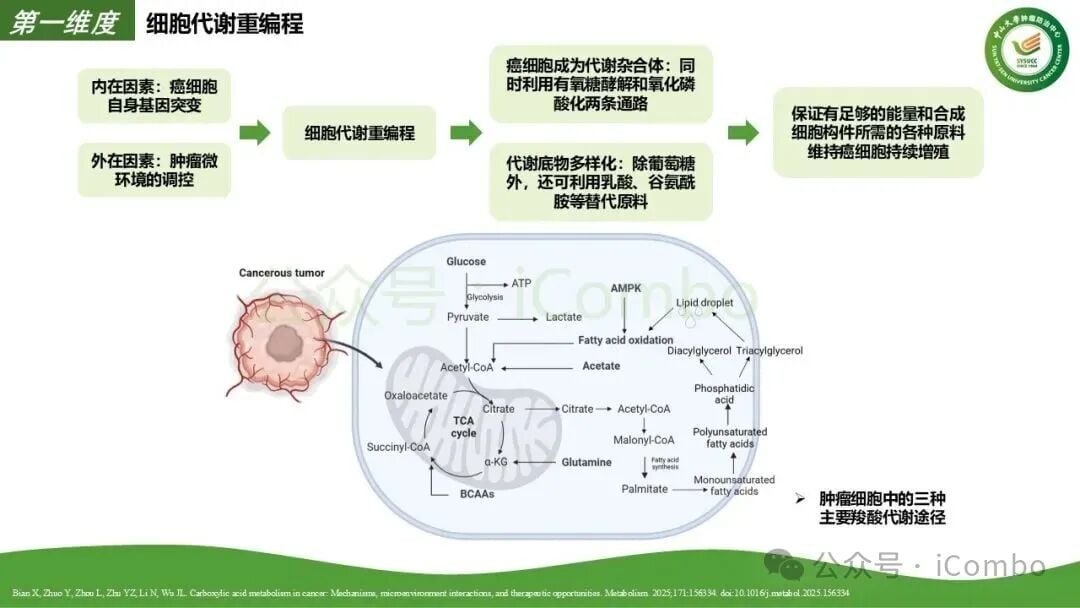 肿瘤微环境七类标志性赋能细胞分布