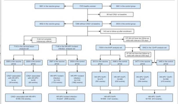 114a72e00b60404ab7d05a2456acf0fc-5sJAsU0