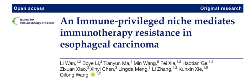 84724332613e4820818063c638f4387b-WSPCkxK