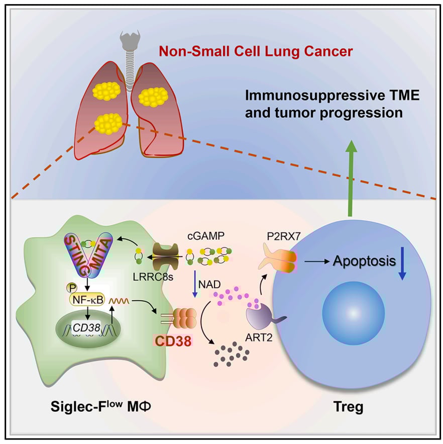 866a9668dbd24693ab731397c999e90c-LFNooTI