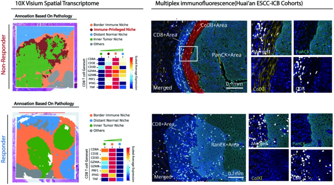 873baaaeab084acd9d278fa92173148b-4Sy7bOd