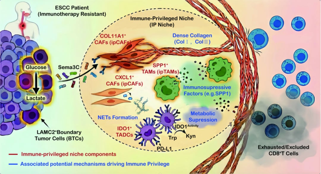 ca13ef4ee9c147e1bdfc0e8090e5b6a8-kiANmG1