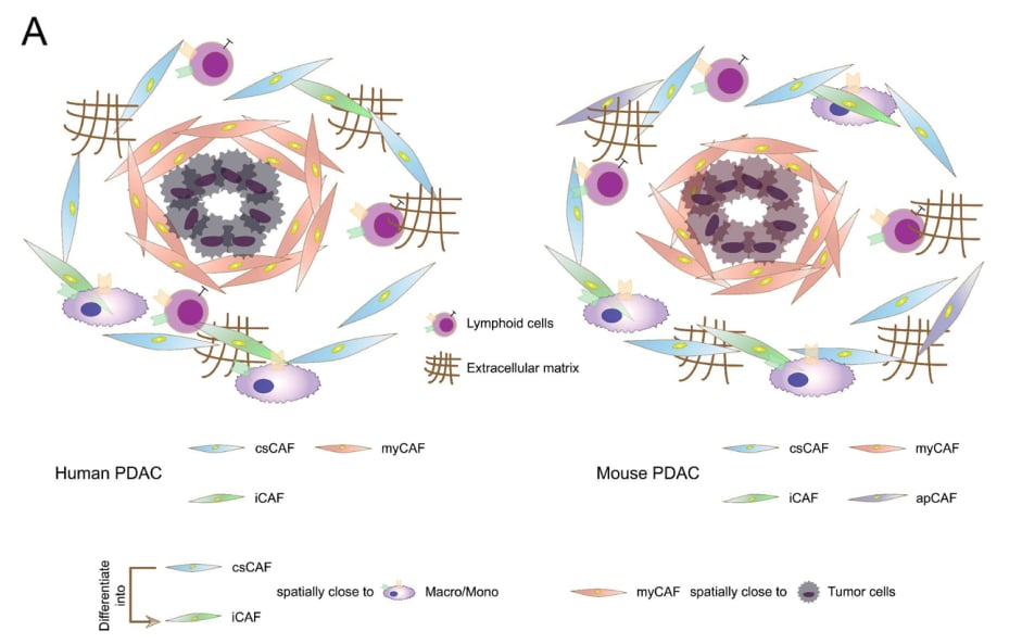 ec81623f6b784040bdce4df8ea07e489-KMEJ0s2
