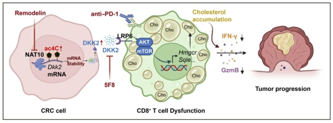 faf1c1cabb5547d79f82693fc57acec3-5taGgdY