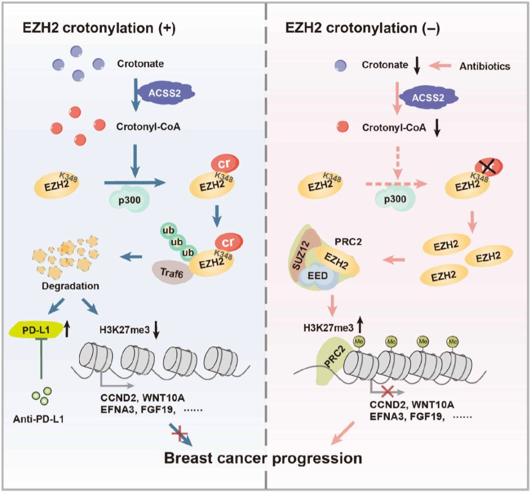 0cefd9970689409a91a817db65f9fc2e-WOGydCE