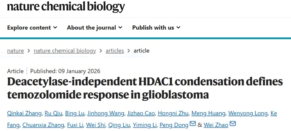 0e6ab4ae73be48e5a859601474dd260f-pJNtCXQ