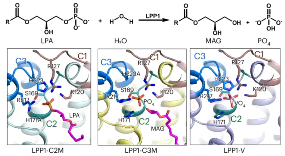 125204536c504bf189f26df35774481e-JtEDya3