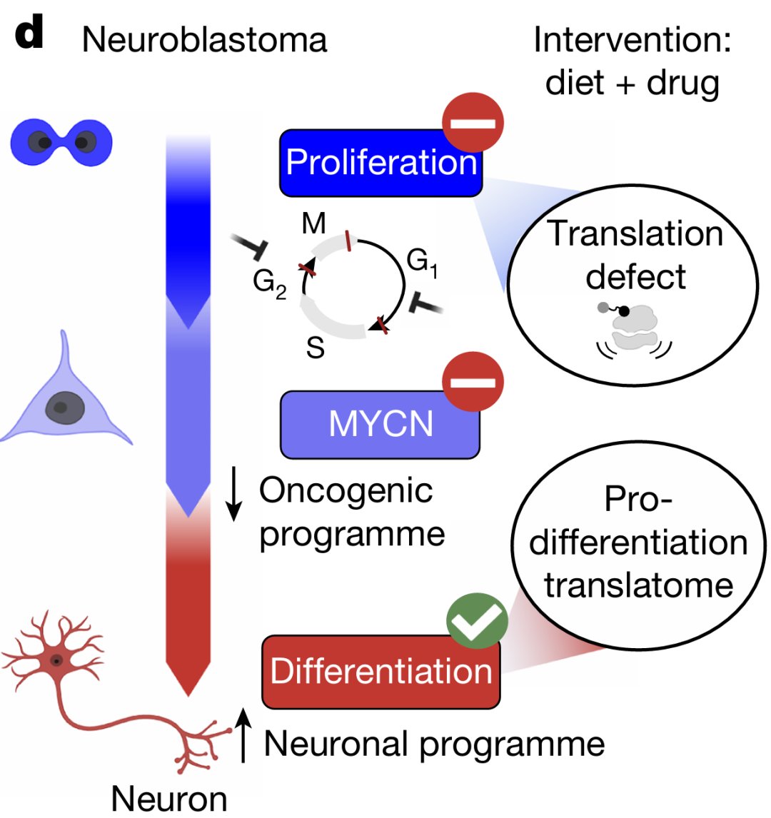 1d3fbf890e414c71ab2bc929326ff6a3-KrzKH6u