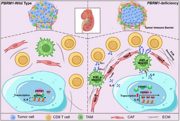 3e187b0172564db1a94b13e0249b0ddc-UErcCek
