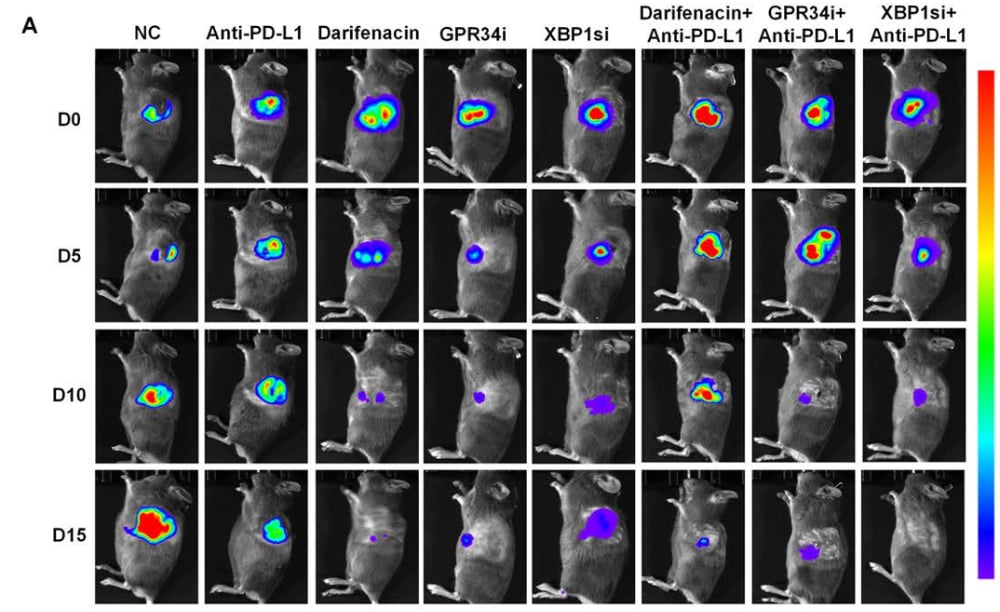 630721f304ee48bab6b7947e622340e1-cD1pev2