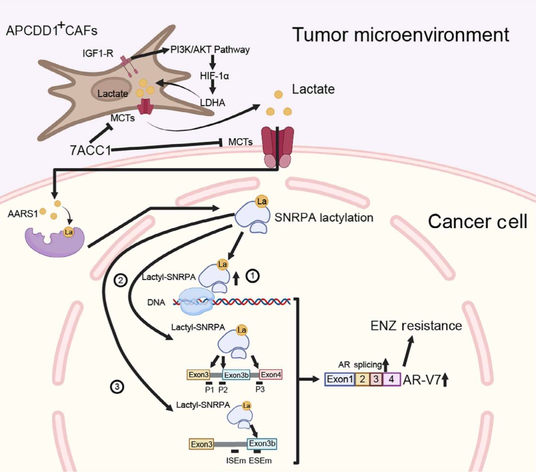 63f4b796311d4698a3b6c8584fdd5e2c-ysVvswM