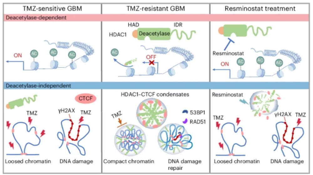 8d37f9957a754564a1553ffc679c4811-op6z79a