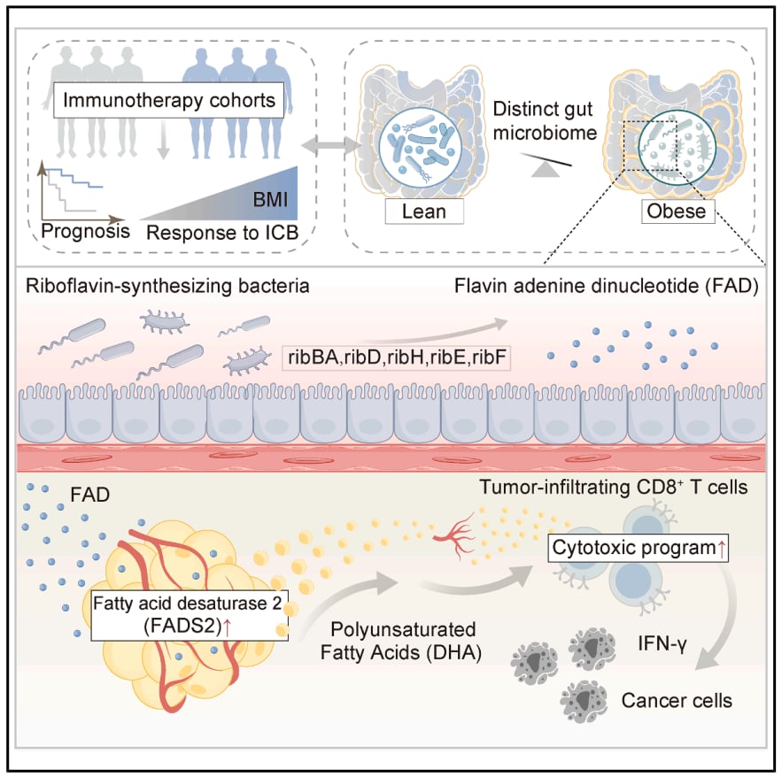 92b175fabb1c48fdb6835e8620ba3d24-rN3cR7T